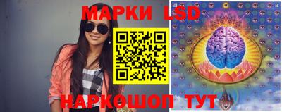 твердый Будённовск