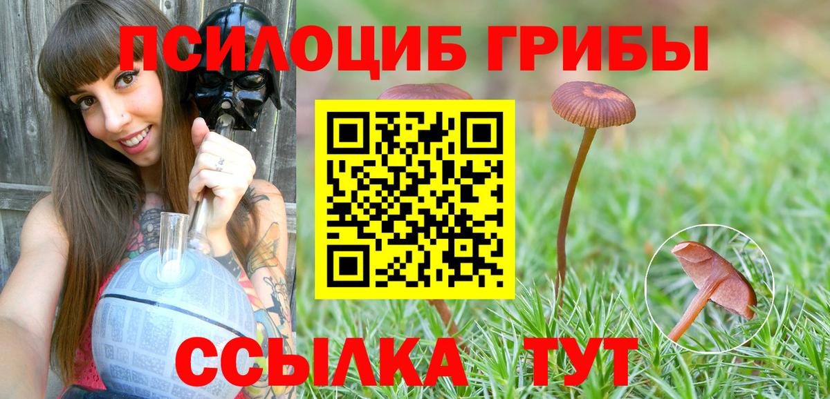 Псилоцибиновые грибы MAGIC MUSHROOMS Арсеньев