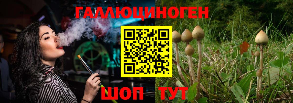Арсеньев  Галлюциногенные грибы Psilocybine cubensis  Галлюциногенные грибы Psilocybine cubensis  Вход с VPN 